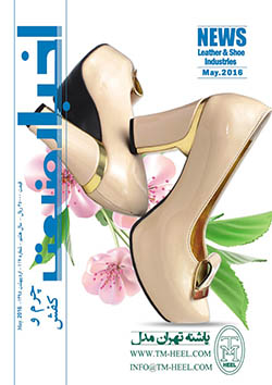 مجله اخبار صنعت چرم و کفش (شماره 117)