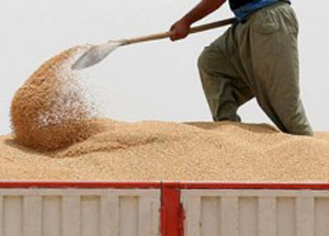 افزایش 33 درصدی قیمت گندم با افزایش قیمت سوخت