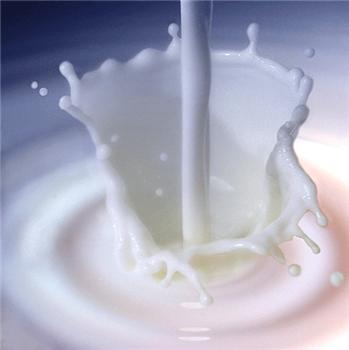 مصرف شیر قدرت دفاعی بدن در برابر بیماری‌ها را افزایش می‌دهد