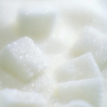 افزایش تولید شکر در سال جاری