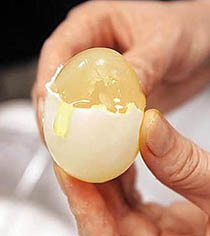 واردات چینی، از برنج پلاستیکی تا تخم مرغ مصنوعی!