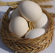 جلسه "تخم‌مرغی" تنظیم بازار برای کنترل قیمت 300 تومانی
