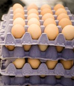 تصمیمات جدید در بازار تخم‌مرغ/ اعلام موجودی انبارها هر 15 روز یکبار