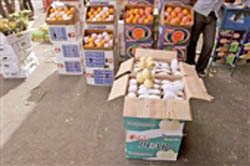 واردات 24.5 میلیون دلار میوه‌ ممنوعه و سکوت مسئولان
