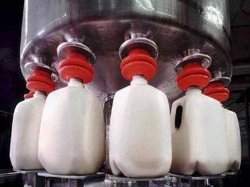 افزایش 40 درصدی قیمت شیرخام در یکسال اخیر