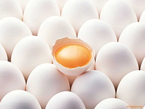 احتمال حذف تعرفه صادرات تخم مرغ توسط دولت