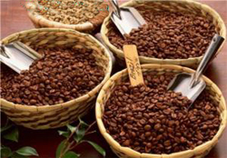 سقوط قیمت دانه قهوه در بازار جهانی