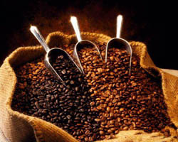 صعود ادامه دار قیمت دانه قهوه و کاهش قیمت کنجاله سویا در بازارهای جهانی