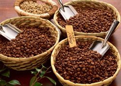 افت قیمت دانه کاکائو در بازار جهانی و بورس نیویورک