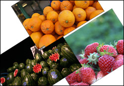 جزئیات قیمت میوه خارجی و داخلی در بازار/ گیلاس کیلویی 8000 تومان