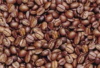 بیشترین سهم کاهش قیمت مواد غذایی در گرو دانه قهوه