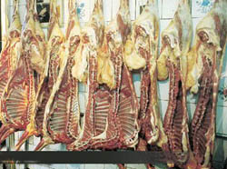کاهش 3000 تومانی قیمت گوشت گوسفندی نسبت به یک ماه پیش
