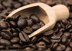 دانه قهوه در بازار جهانی به کمترین قیمت در یک ماهه اخیر رسید