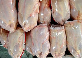 مرغ‌های برزیلی در راهند/ قیمت لبنیات هم تا یک هفته دیگر کاهش می‌یابد
