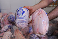 هیچ کس حق ندارد مرغ را بالاتر از 4700تومان بفروشد