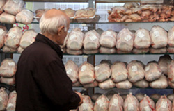 تخفیف 15 درصدی مواد غذایی در نمایشگاه‌های رمضان/ مرغ تهرانیها تامین است