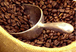 افزایش قیمت دانه قهوه و دانه کاکائو در بازار جهانی
