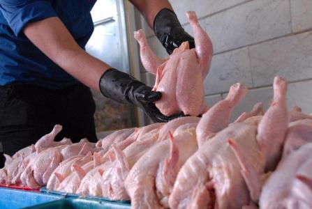 مجوز واردات 150 هزار تن گوشت و مرغ صادر شد