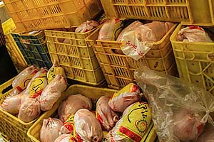 کاهش قیمت مرغ در مشهد به ۵ هزار و ۷۰۰ تومان