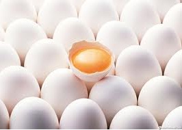 بعد از ماه رمضان تخم‌مرغ به سرنوشت مرغ دچار می‌شود