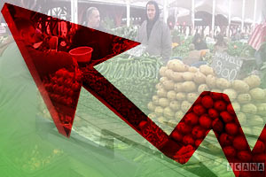 مرکز آمار نرخ تورم مواد خوراکی را بیش از 35درصد اعلام کرد/ تورم مسکن 48درصد