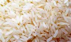 مسئولان از اعلام آمارهای غیر کارشناسی در تولید برنج اجتناب کنند