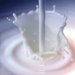 قیمت جدید شیر امروز اعلام می‌شود