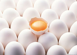 دستور ویژه غضنفری برای ذخیره‌سازی تخم‌مرغ/ قیمت امروز تعیین می‌شود