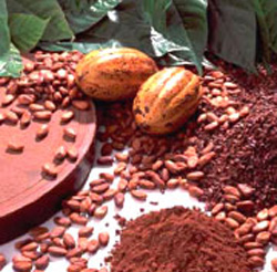 صعود قیمت دانه کاکائو به بالاترین میزان در شش ماهه گذشته