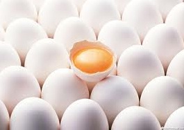 بلاتکلیفی 20 تریلی تخم‌مرغ با مجوز صادراتی در مرز‌ها