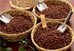 کاهش قیمت دانه کاکائو و افزایش قیمت دانه قهوه در بازار جهانی