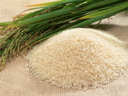 برنج و گوشت همچنان ارز مرجع می‌گیرند