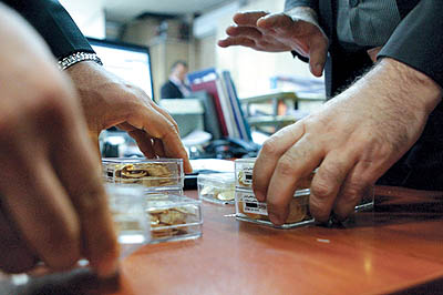 بانک مرکزی: مرحله جدید پیش فروش سکه در سال جاری