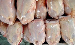 تشریفات گمرکی 4 هزار تن مرغ منجمد برزیلی انجام شد