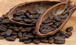 رشد مجدد قیمت دانه کاکائو و دانه قهوه در بازار جهانی