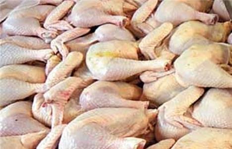 قیمت مرغ بیش از خواست مرغداران افزایش یافت/ کنترل بازار برای ماه رمضان