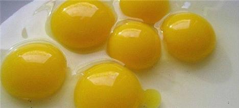 قیمت تخم‌مرغ نه تنها بالا نرفته پایین هم آمده است!