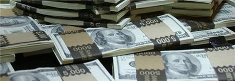 بانک مرکزی مجوزی برای حذف ارز مرجع کالاهای اساسی از مجلس ندارد