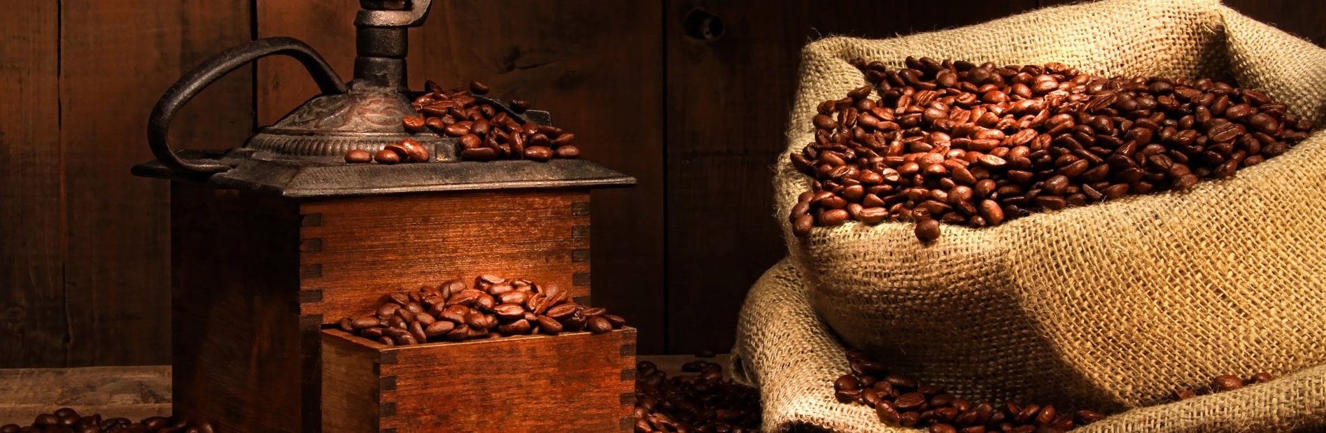صعود قیمت دانه کاکائو در بازار های جهانی