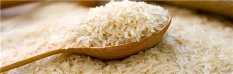 واردات بی‌رویه برنج بی تاثیربر بهای برنج / استقبال دهک‌های پایین جامعه از برنج هندی