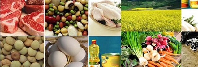 تولید مواد غذایی اولویت اول اقتصاد کشور