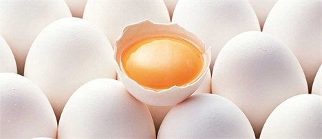 کاهش عرضه، عامل گرانی تخم‌مرغ است