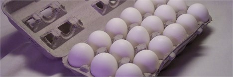 بهای تخم مرغ روند کاهشی گرفت/ مرغداران کم اظهاری می‌کنند