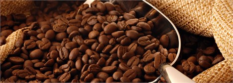 صعود قیمت دانه کاکائو و افت قیمت دانه قهوه در بازار جهانی