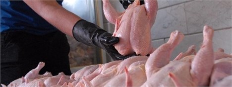 آلودگی گوشت‌های مرغ در بازار پایتخت تکذیب شد