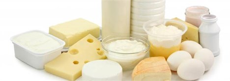 تولید 8 میلیون تن شیر و محصولات لبنی در ایران طی سال 2013
