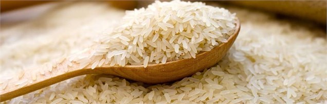 استاندارد ایران مبنای واردات برنج از هند شد