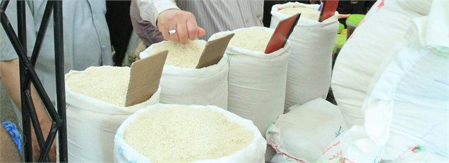 توزیع برنج ایرانی و خارجی در نمایشگاه‌های عرضه مستقیم کالا