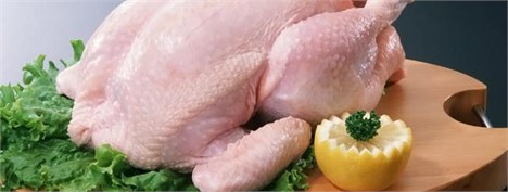 پیش بینی تولید 2 میلیون تن گوشت مرغ