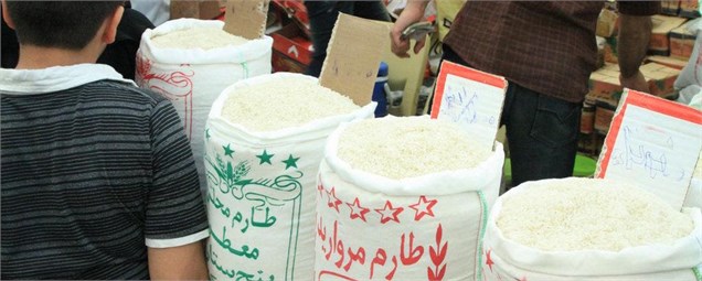 کل نیاز به واردات برنج ۶۰۰هزارتن در سال است